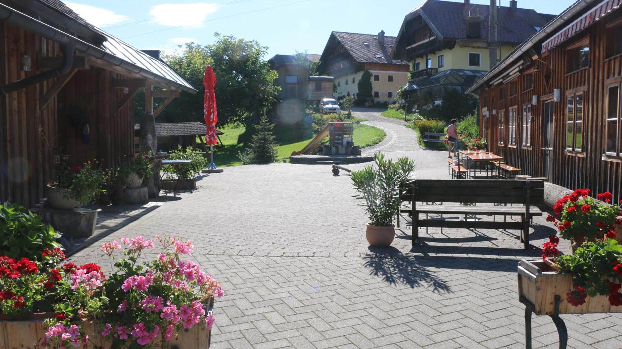 Bio Archehof Zachhiesen Apartment Seekirchen am Wallersee Luaran gambar