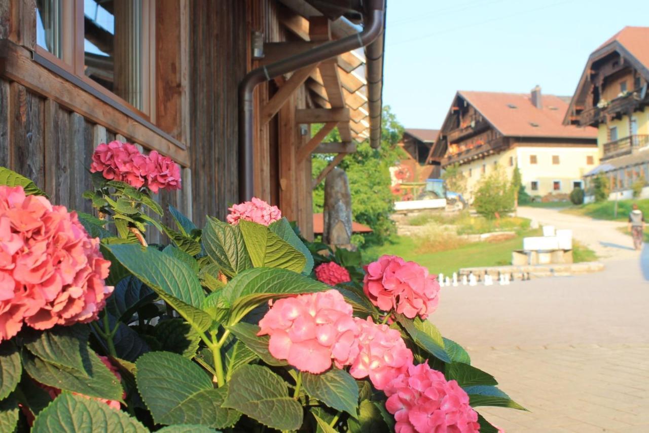 Bio Archehof Zachhiesen Apartment Seekirchen am Wallersee Luaran gambar