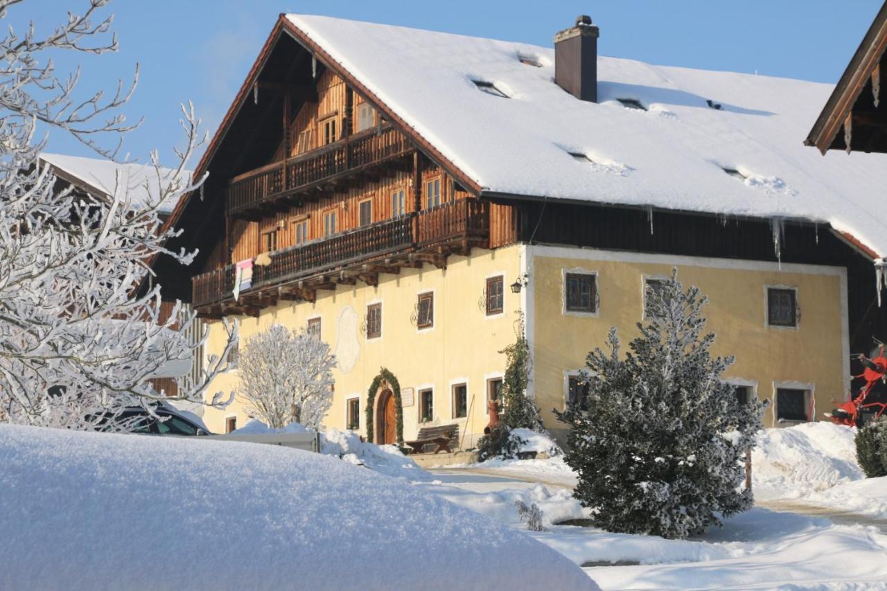 Bio Archehof Zachhiesen Apartment Seekirchen am Wallersee Luaran gambar